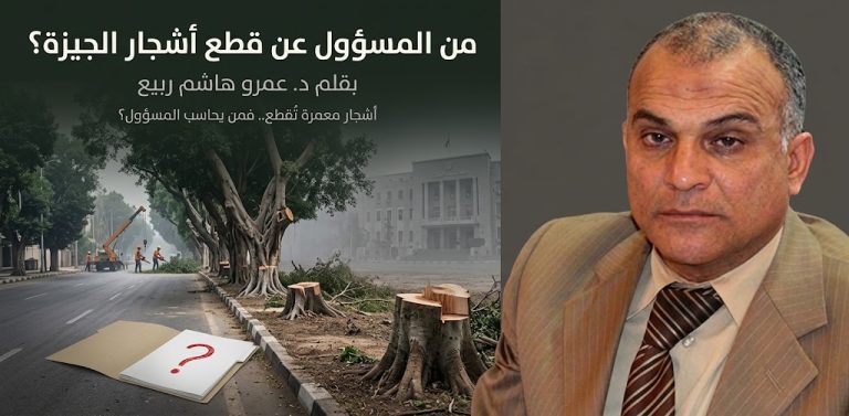 د. عمرو هاشم ربيع يكتب: من المسؤول عن قطع أشجار الجيزة؟