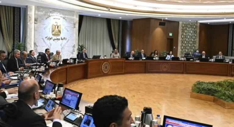 مدبولي يوجه المحافظات بالتوسع في زراعة الأشجار وزيادة الرقعة الخضراء