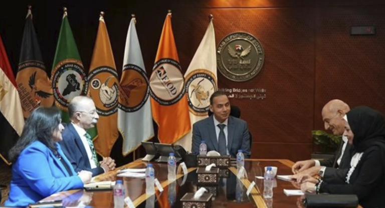 الرقابة المالية: إطلاق «الشورت سيلينج» خلال أسابيع والتداولات تتجاوز 6.4 تريليون جنيه