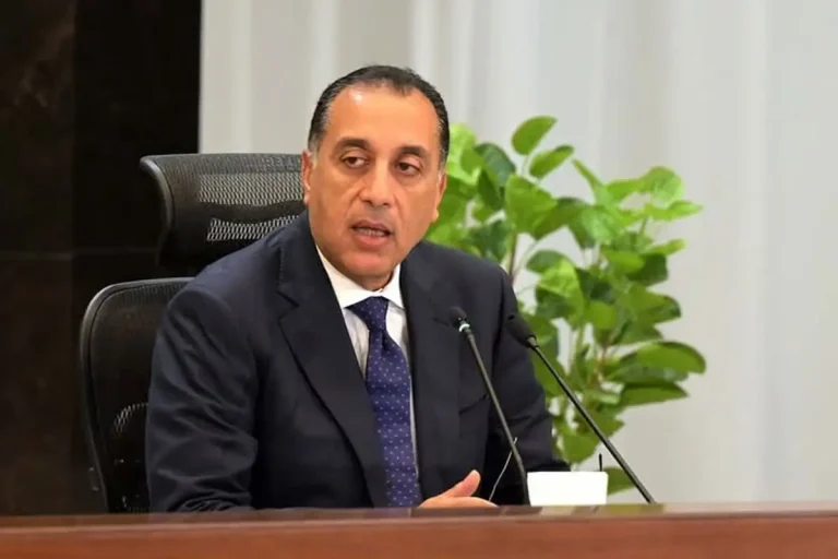 مصر أمام الأمم المتحدة: إصلاح مجلس الأمن ودعم فلسطين وتعزيز دور دول الجنوب
