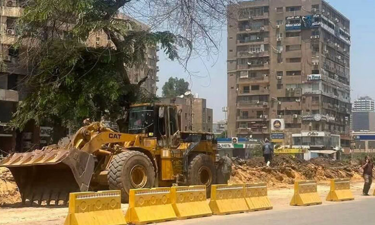 بديل عمالقة التاريخ.. هل تنجح شتلات السيسي الخضراء في إنقاذ القاهرة؟