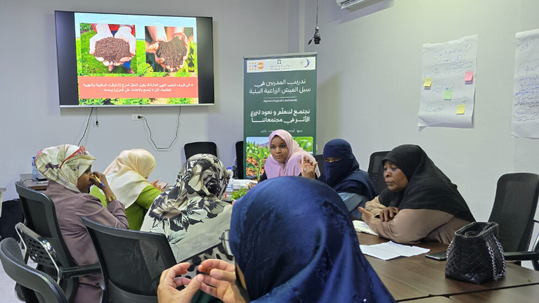 صندوق الأمم المتحدة للسكان: من النخلة إلى الاستقلال.. كيف تصنع نساء الجنوب الليبي ثروة مستدامة؟