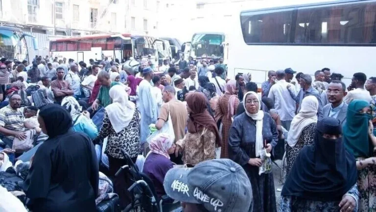 عودة 882 سودانيًا من مصر إلى بلادهم ضمن برنامج «العودة الطوعية»