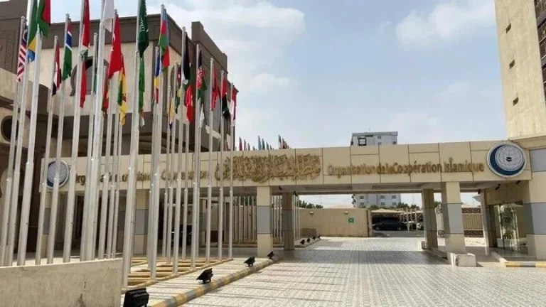 عبد الله بن زايد يبحث مع مسعد بولس تطورات المنطقة والعلاقات الإماراتية الأمريكية