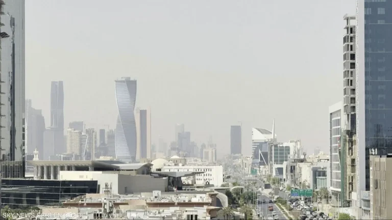 مقتل 3 سعوديين وإصابة آخرين في هجومين على مطار الملك خالد وطائرة للخطوط السعودية