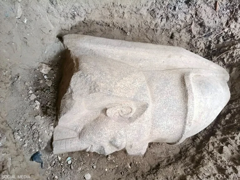 صدفة تقود إلى كشف أثري كبير في الغربية.. تمثالان ملكيان أحدهما لرمسيس الثاني