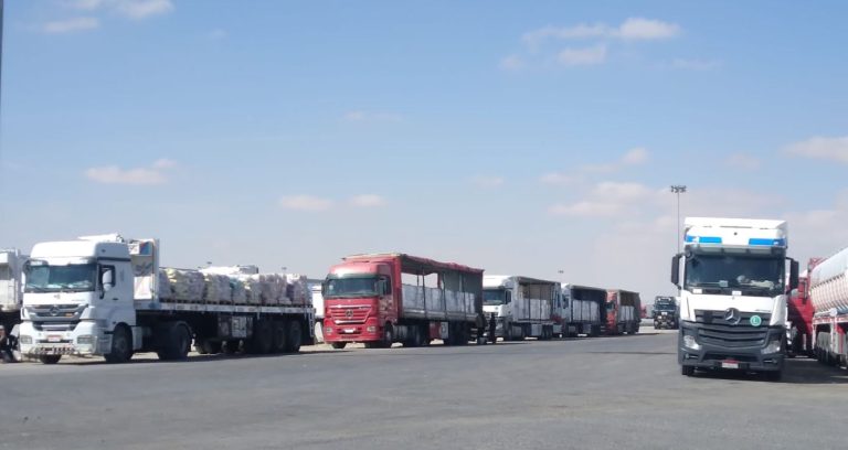 مقررة أممية: المساعدات لا تدخل غزة بحرية.. والجوع يتفاقم