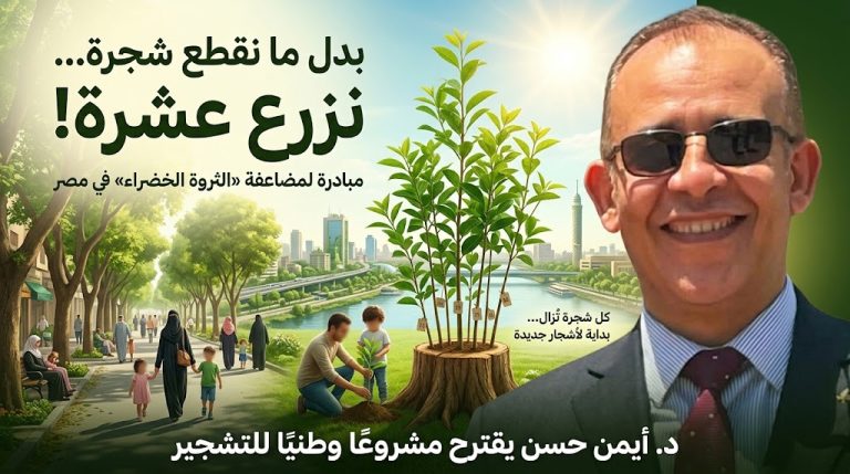 أيمن حسن يقترح مبادرة وطنية لتحويل إزالة الأشجار إلى مشروع لمضاعفة «الثروة الخضراء» في مصر