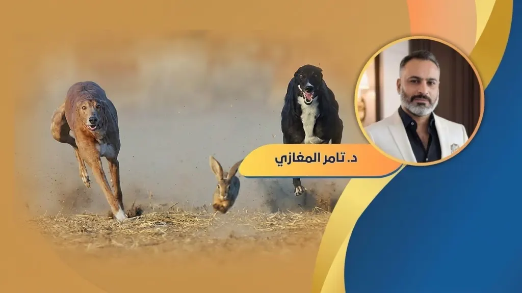 د.تامر المغازي يكتب: لماذا لا يلحق الكلب بالأرنب؟ حكاية في السياسة والخيانة