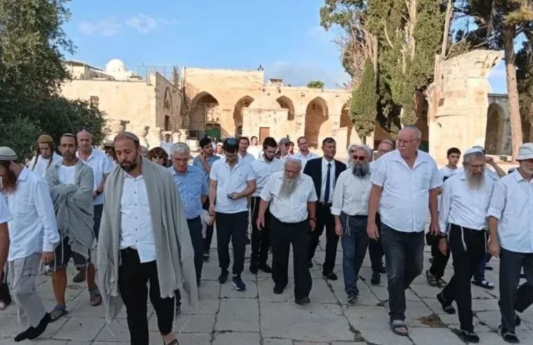 القدس.. 11409 مستوطنين اقتحموا الأقصى خلال أعياد اليهود