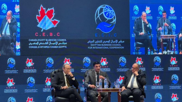 مصر تعتزم وقف تصدير بعض الخامات التعدينية لتعزيز التصنيع المحلي