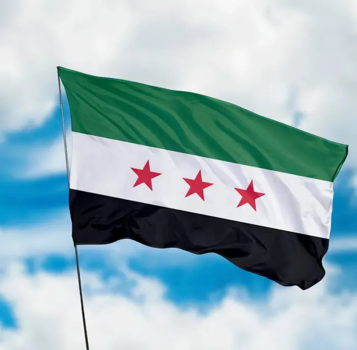 سوريا: الأردن لم ينسق معنا قبل الغارات