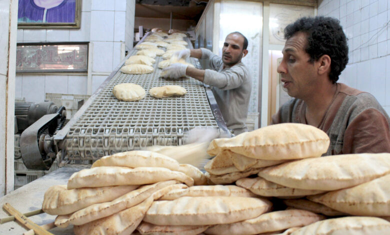 رغيف المصريين في خطر: ماذا جرى بعد تراجع واردات القمح بنسبة 65%؟