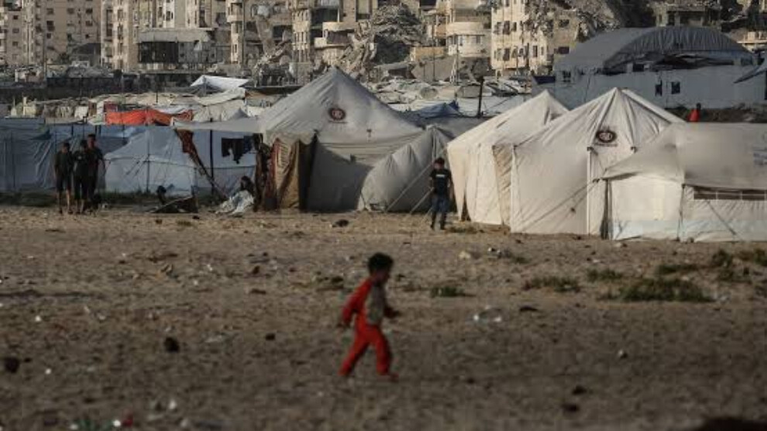 رصاص وقحط: 1.4 مليون جائع على حافة الموت.. غزة تدفع الثمن دما وجوعا