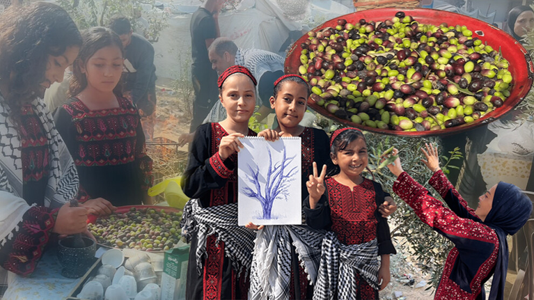 في قلب الركام.. قطف الزيتون في غزة يتحدى الحرب بالدبكة والتراث