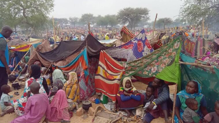 جحيم الحرب والجفاف بالسودان: ملايين المشردين على حافة المجاعة