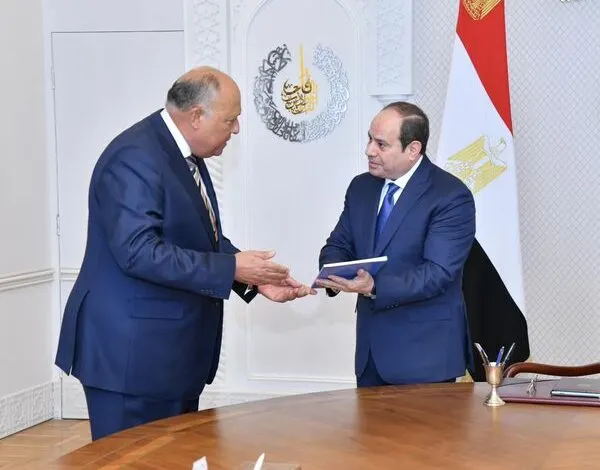 سامح شكري: تفويضنا العسكري لدعم السعودية ولا تشمل شن هجمات باليمن