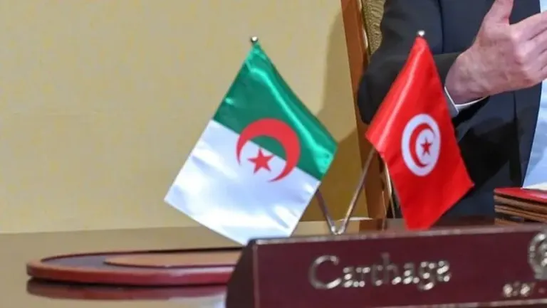تونس والجزائر تتفقان على تعزيز التعاون في الابتكار ونقل التكنولوجيا