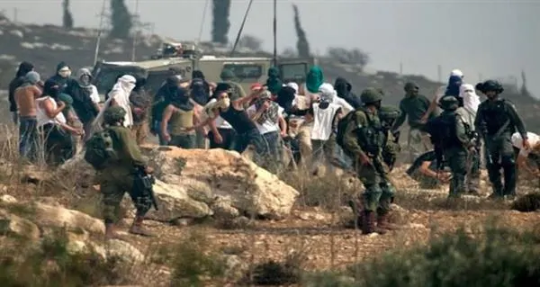 صحيفة بريطانية: اعتقال مرشح ديمقراطي للكونجرس الأمريكي خلال قطف الزيتون بالضفة الغربية